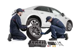 Imagen PNG para descargar